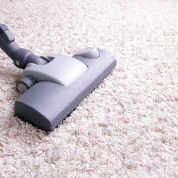 can-carpet-be-dry-cleaned-250x250 tumbledry Carpet Cleaning