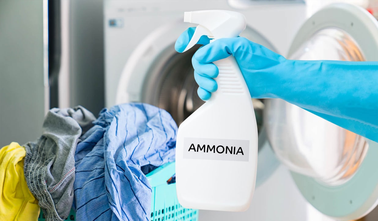 Remove stains from a white shirt using ammonia